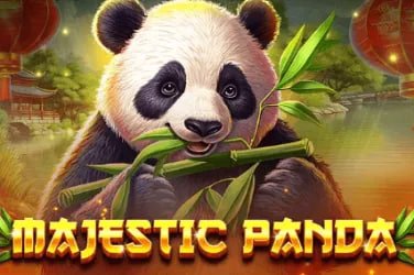 Người dùng Việt Nam duyệt sảnh game shb800 trên điện thoại Android